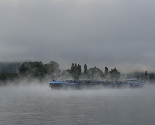 Morgennebel am Rhein bei Bad Breisig