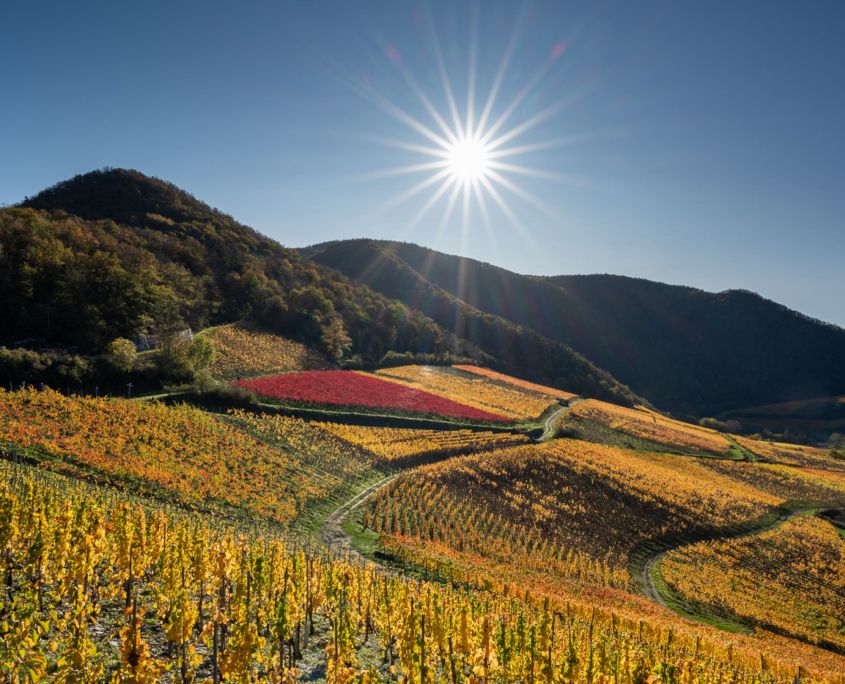 Portfolio Thomas Zilch