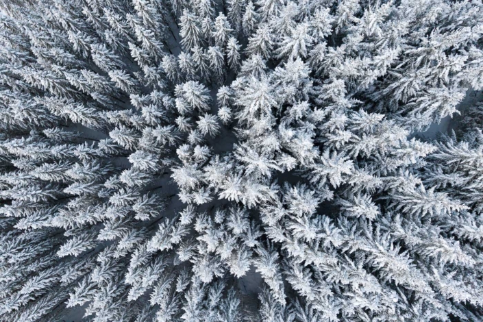 Norwegen – Vesterålen