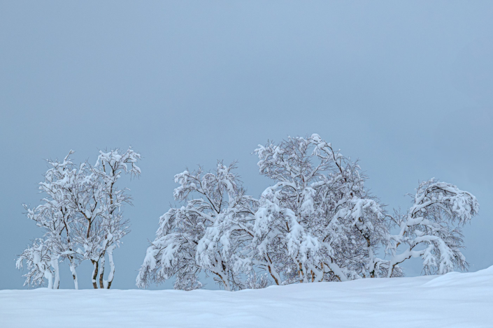 Norwegen – Vesterålen