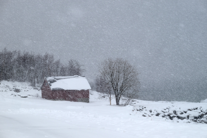 Norwegen – Vesterålen