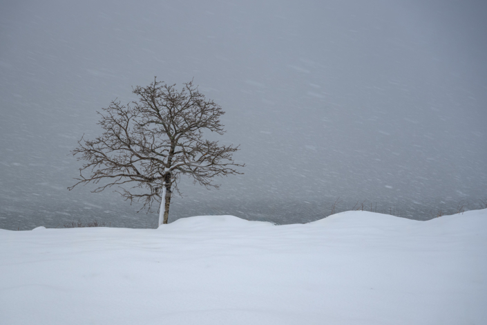 Norwegen – Vesterålen